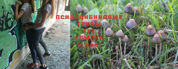 молекула духа Аркадак