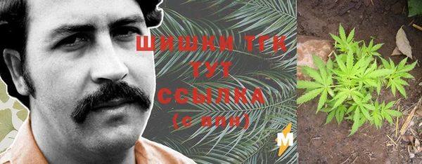 мет Арсеньев