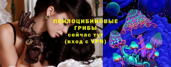 молекула духа Аркадак