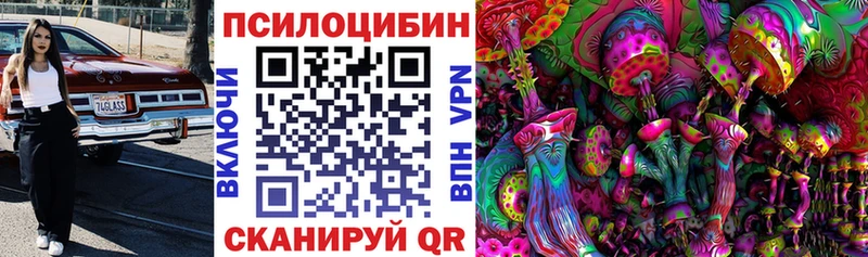 MEGA сайт  Дыгулыбгей  маркетплейс официальный сайт  Псилоцибиновые грибы мицелий 